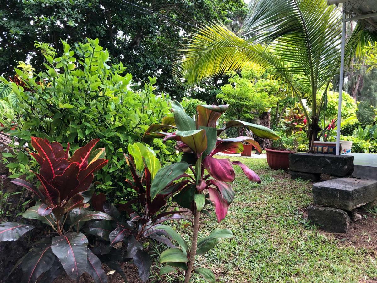 Case Cassia Riambel 外观 照片