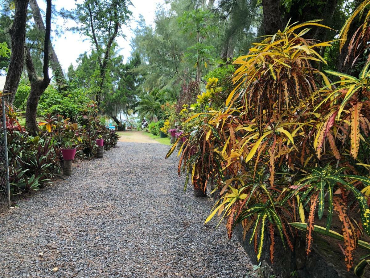 Case Cassia Riambel 外观 照片