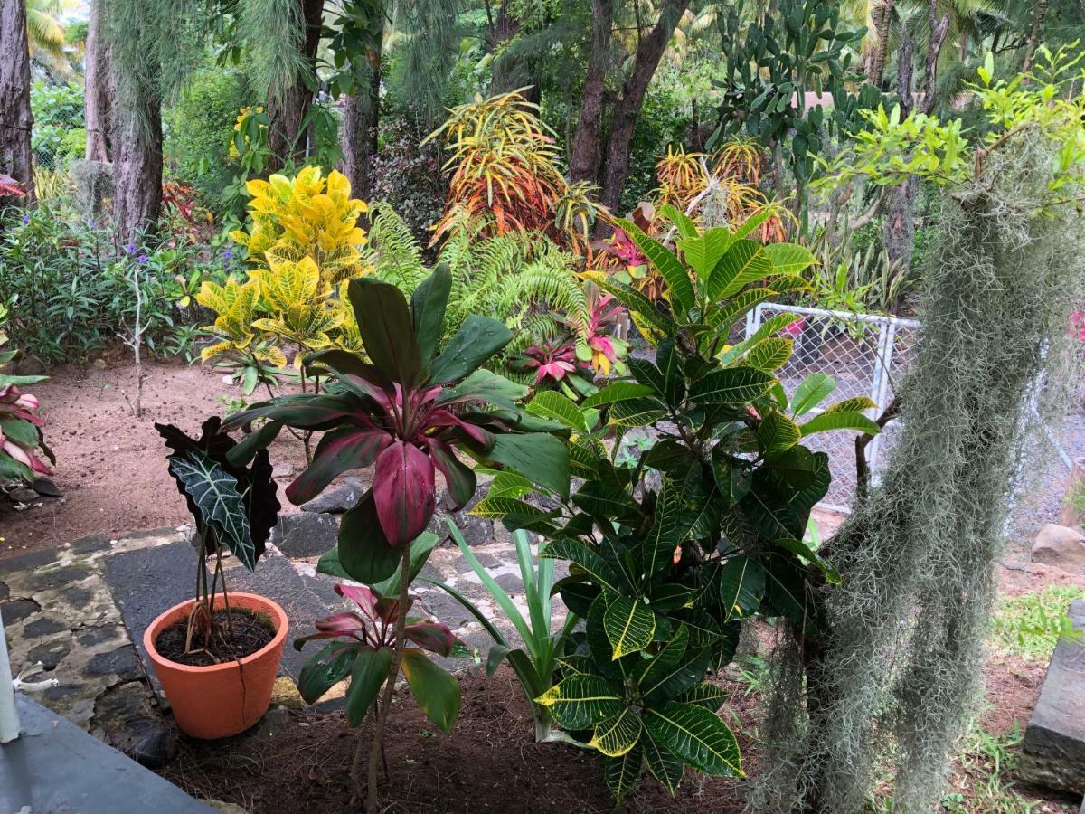 Case Cassia Riambel 外观 照片